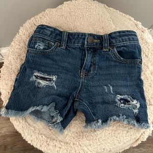 Cat and jack girls jean shorts